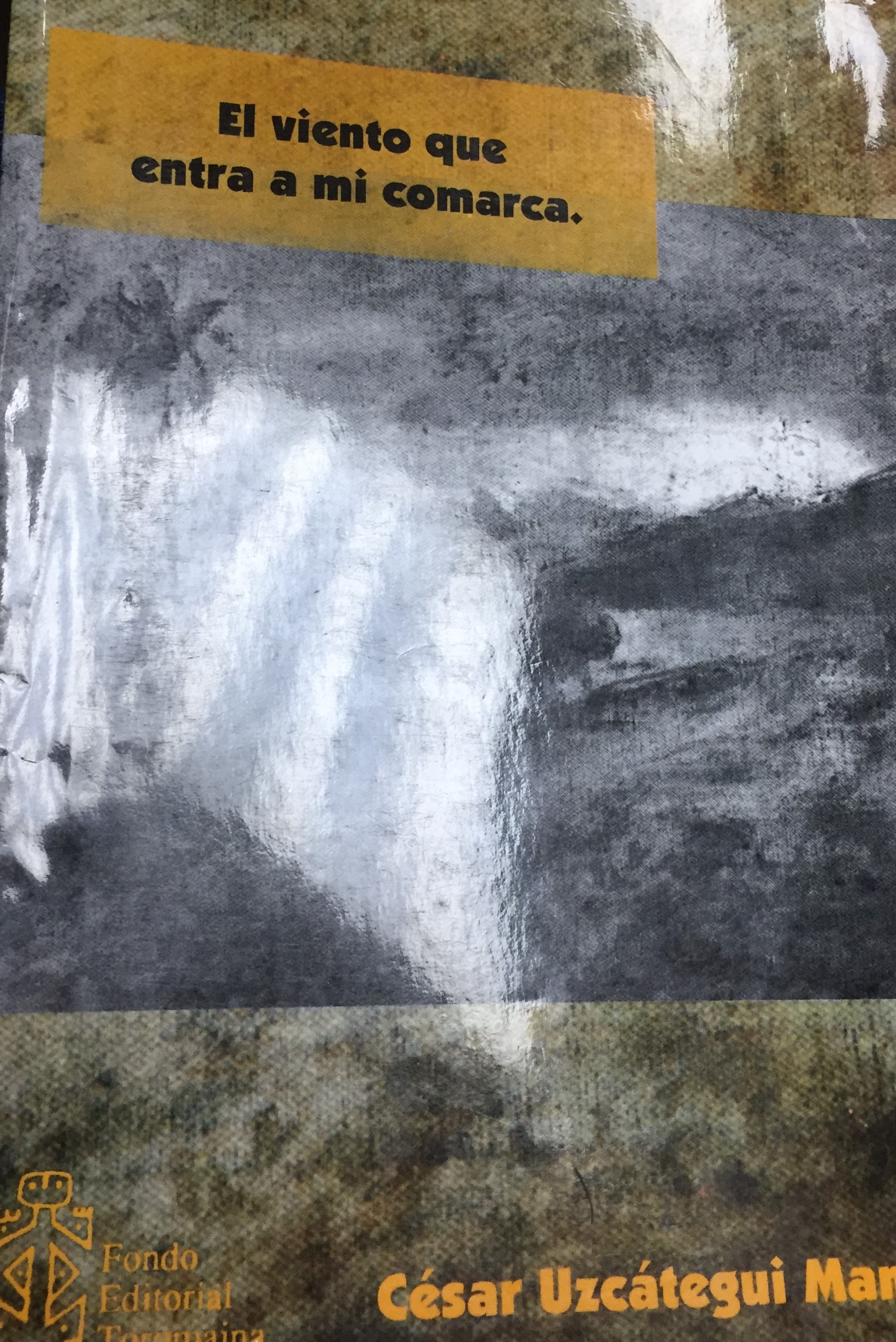 El viento que entra a mi comarca